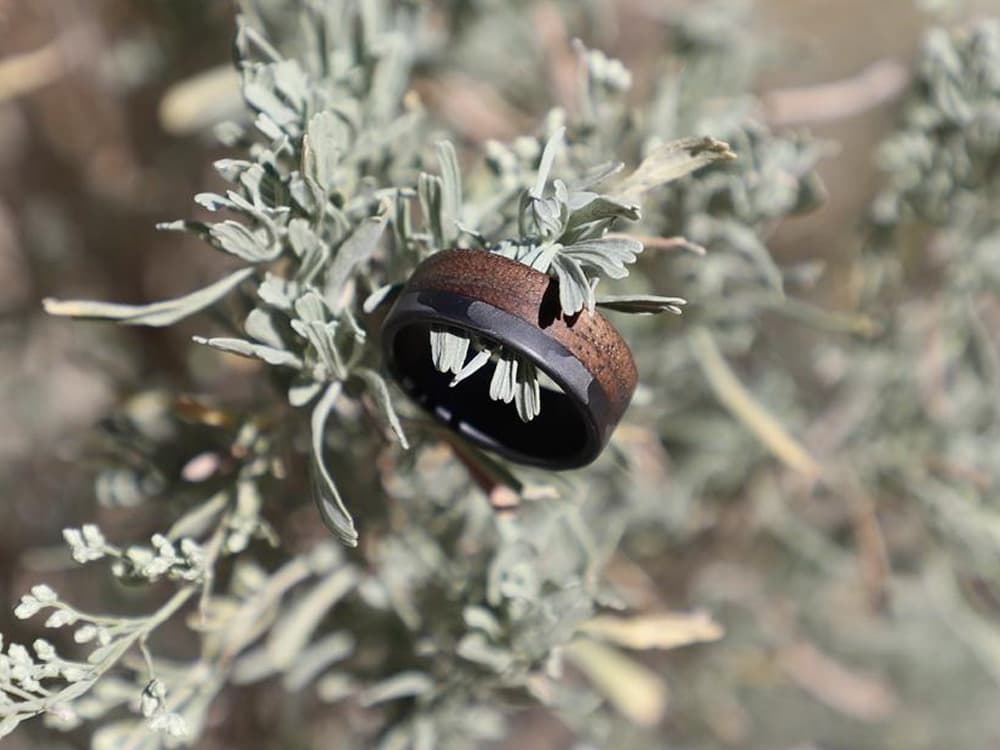 Craftsman 70/30 Carbon Fiber & Walnut Wood Ring - Image 3