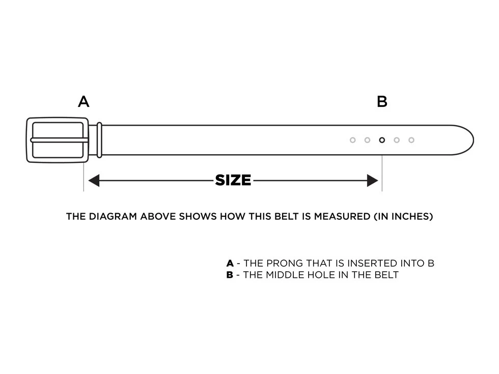Michael Toschi Carbon Fiber Belt - Image 4