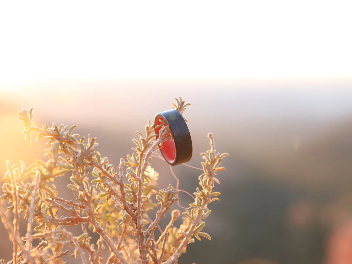 Red Racer Carbon Fiber Glow Ring - Image 5